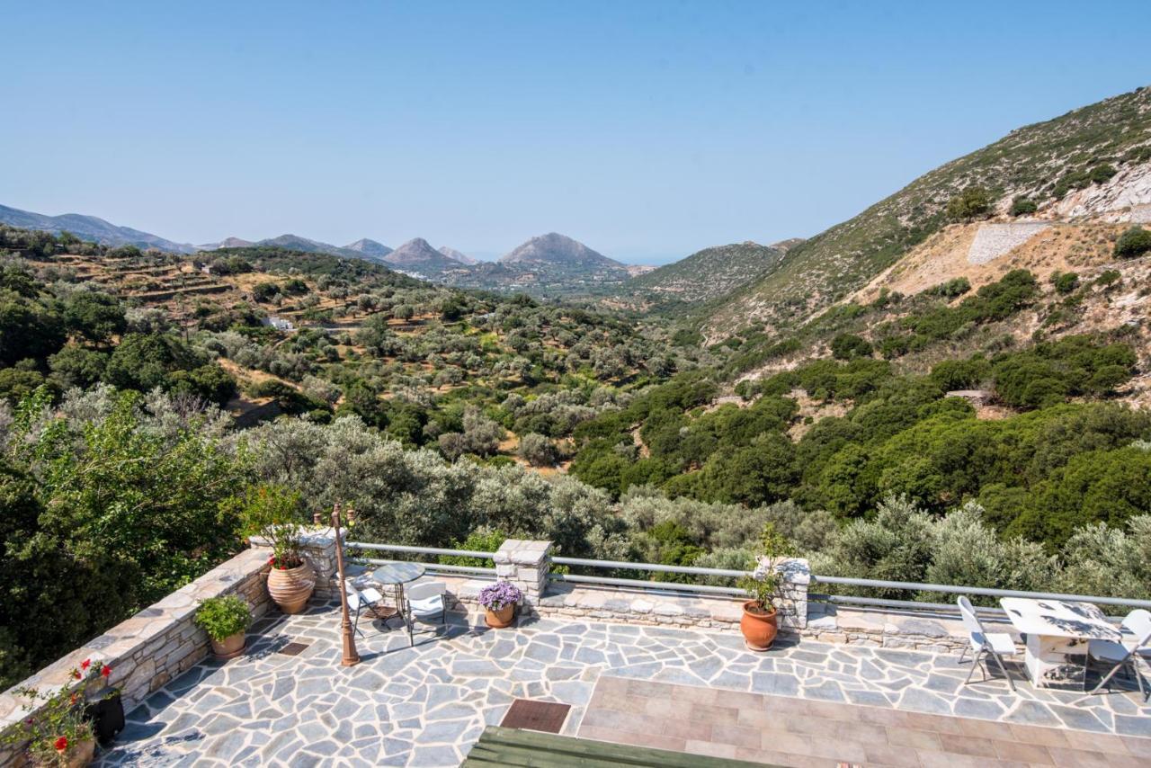 Elaiolithos - Luxury Villa Suites - Adults Only Khalkíon Esterno foto