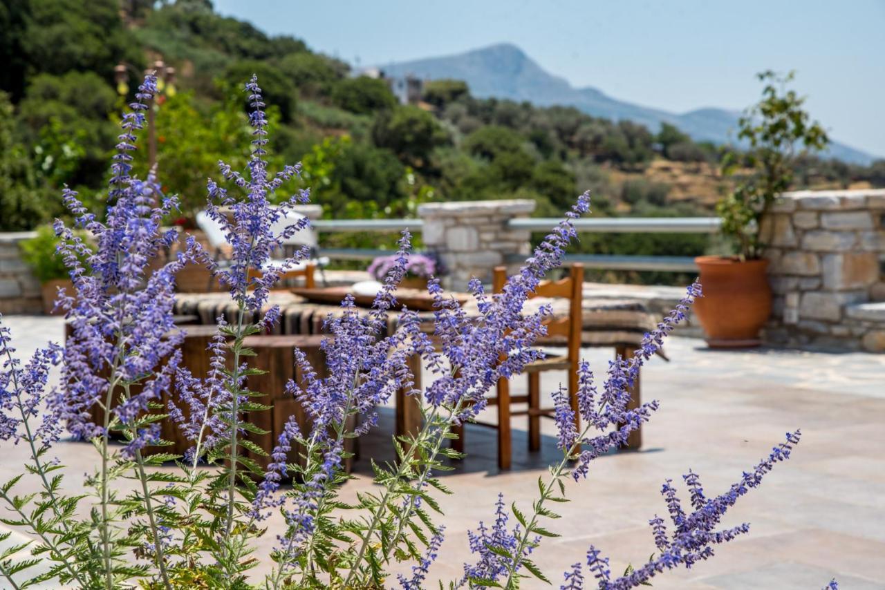 Elaiolithos - Luxury Villa Suites - Adults Only Khalkíon Esterno foto